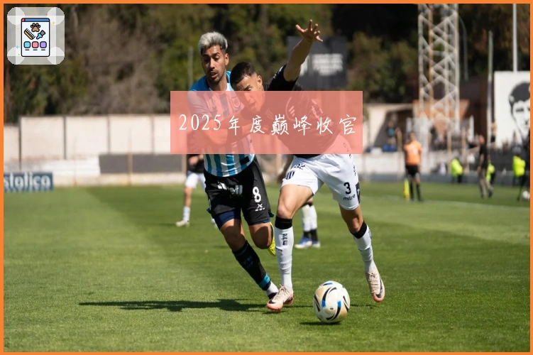 2025年度巅峰收官