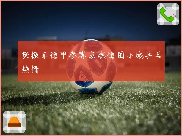 樊振东德甲参赛点燃德国小城乒乓热情