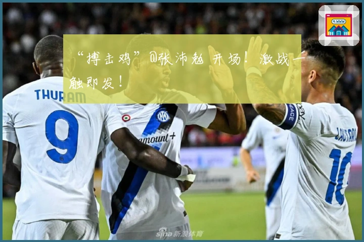 “搏击鸡”@张沛勉 开场！激战一触即发！